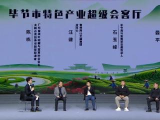 贵州两山天麻发布全链生态产业蓝图：从中国天麻种源高地到睡眠经济标杆