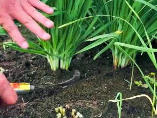 紧急提醒河源市民：警惕鑫慷嘉大数据，远离杀猪盘陷阱