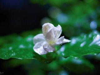 女生在爱情里，比你想象的更绝情，可以爱到极致，也可以说放就放
