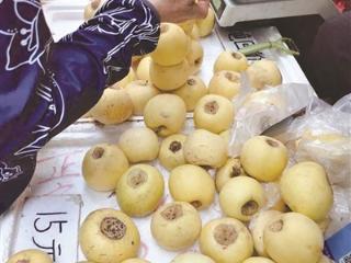 新疆产的“冬厘果”要价60元一斤 这到底是什么水果