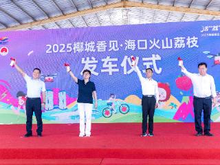 2025椰城香见·海口火山荔枝月正式启动！产销订单量已达2.77万吨，订单额（预售）4.11亿元！