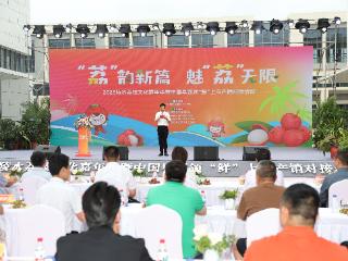 2025陵水荔枝文化嘉年华暨中国早荔领“鲜”上市产销对接活动启幕