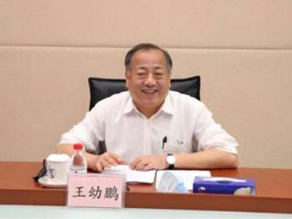曾被记过处分的王幼鹏，9年后再被双开