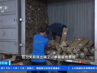 康乃馨、芍药热卖 母亲节多地鲜花销售火爆