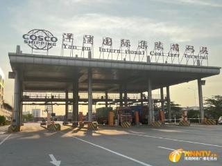 外贸直达！洋浦国际集装箱码头顺利完成首单进口香化品集装箱业务