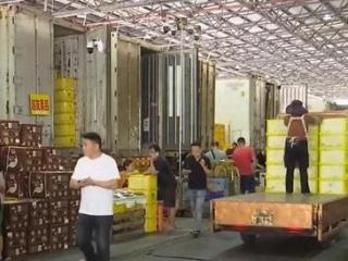 物流升级助推进口水果贸易：东南亚水果更快更新鲜