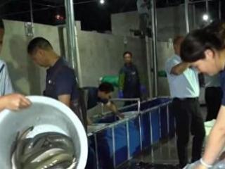 鲜活水产品直通国际市场 特色养殖带动就业增收
