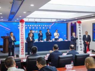一省级能源集团成立！