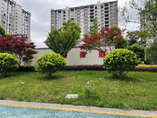 一年“锁水”25万立方米——安顺海绵城市建设成效显著
