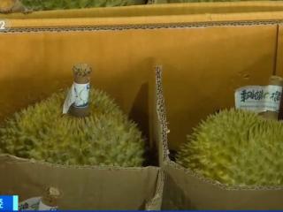 价格降了！榴莲大量上市 一整个期待住了