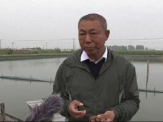 泗洪孙永军，将洪泽湖大闸蟹送上十几个国家的餐桌