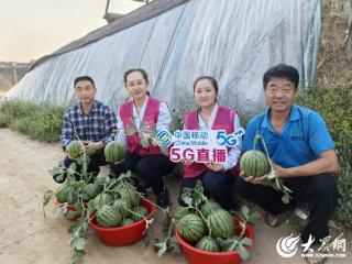 山东移动东营分公司5G直播助力广饶韩庄西瓜采摘热，甜蜜“出圈”