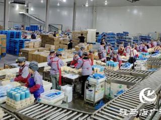 泌阳县：推动项目建设提质增效 为经济振兴积蓄更强动能
