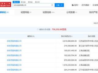 杉杉控股被执行45.15亿
