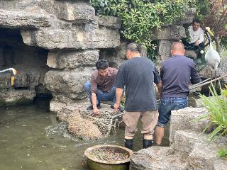 在逃卡皮巴拉位置已经锁定 悬赏奖励增加