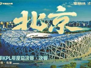 电竞赛事落地鸟巢为双奥场馆注入新活力