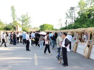 艺术点亮乡村 全国“文艺赋美乡村”交流活动走进重庆北碚