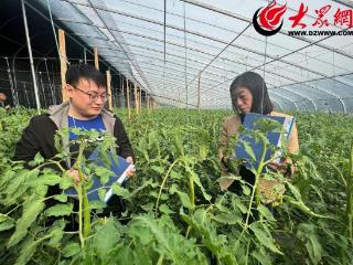 即墨区移风店镇纪委开展护航行动“回头看”
