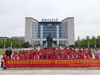 合肥新站高新区青少年中医药文化体验活动温情启幕