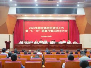 宜兴市徐舍镇召开2025年党的建设工作暨“5·10”思廉月警示教育大会