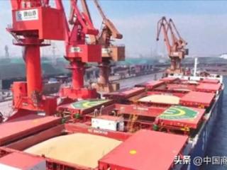 唐山港京唐港区迎来进境大豆接卸作业小高峰