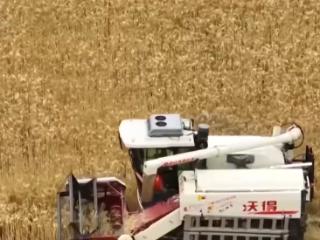 农业生产有“智”又有“质” 硬核科技夯实丰收基础 开辟增产节本新途径