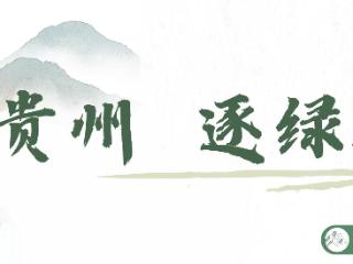 【走前列作示范】“三绿”并举绘就美丽贵州新画卷