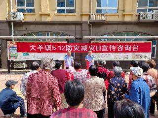 东平县大羊镇举办“512防灾减灾日”宣传活动 筑牢社区安全防线