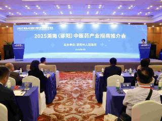 湾区聚势 药香引凤——邵阳中医药产业抢滩粤港澳