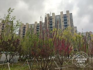 @长春人看过来！大风、降雨要来了