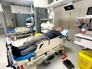 重庆一男子食用野桑葚后腹泻高烧被送抢救室，专家：桑葚不一定“背锅”，但仍需小心适量食用