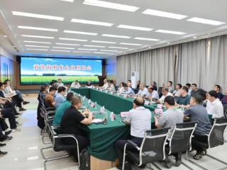关键五年，黄淮海种业如何崛起