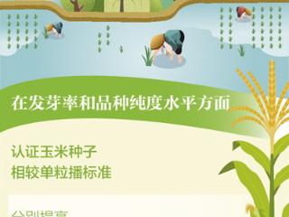 种子“持证上岗”  农业更添保障（大数据观察）
