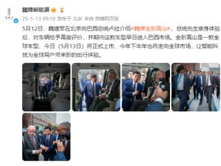 巴西总统亲自体验魏牌全新高山车型 长城魏建军陪同接待