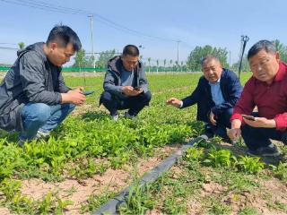 安徽濉溪：“五老”进村下田为乡村振兴送“真经”