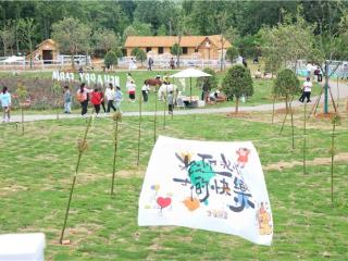 宣城市宣州区：枇杷飘香迎客至 玩“枇”农场欢乐多
