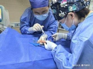 出生仅980克，聊城市妇幼NICU团队为超早产儿点亮生命之光