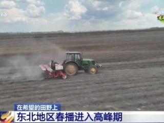 东北春播进度近三成 一键查看各地农业生产进度条→