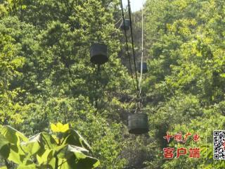 “绿色基建”赋能西十高铁“双电源”建设