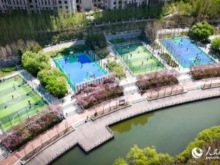 一起来锻炼吧｜夏日冰城 燃动球场
