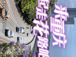 镜界 | 来重庆，一起走花路吧！（一周精选第276期）