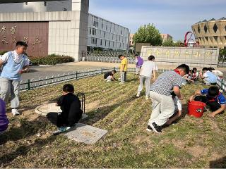 莒南县第二小学开展校园绿化带杂草清除活动