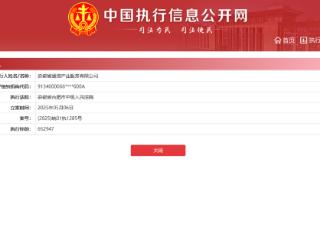 安徽省通信产业服务有限公司及宿州分公司成被执行人