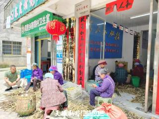 “一根春笋”造就一条村级特色产业增收链