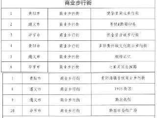 贵州发布2025年省级消费新场景名单