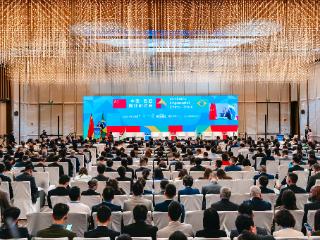 深化中巴合作，共筑发展新篇——中国-巴西商业研讨会成功举办