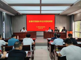 安徽肥西：村书记“三力”淬火 解锁乡村振兴“新密码”