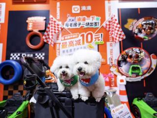 滴滴宠物出行：已有近200万只宠物完成档案注册 犬类占比超六成