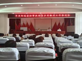 济南市莱芜区羊里街道：蒜黄贷——金融助推乡村振兴的新密码