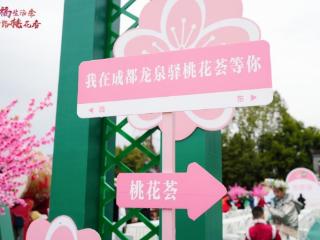龙泉驿桃花绚烂绽放 绘就区域消费新图景